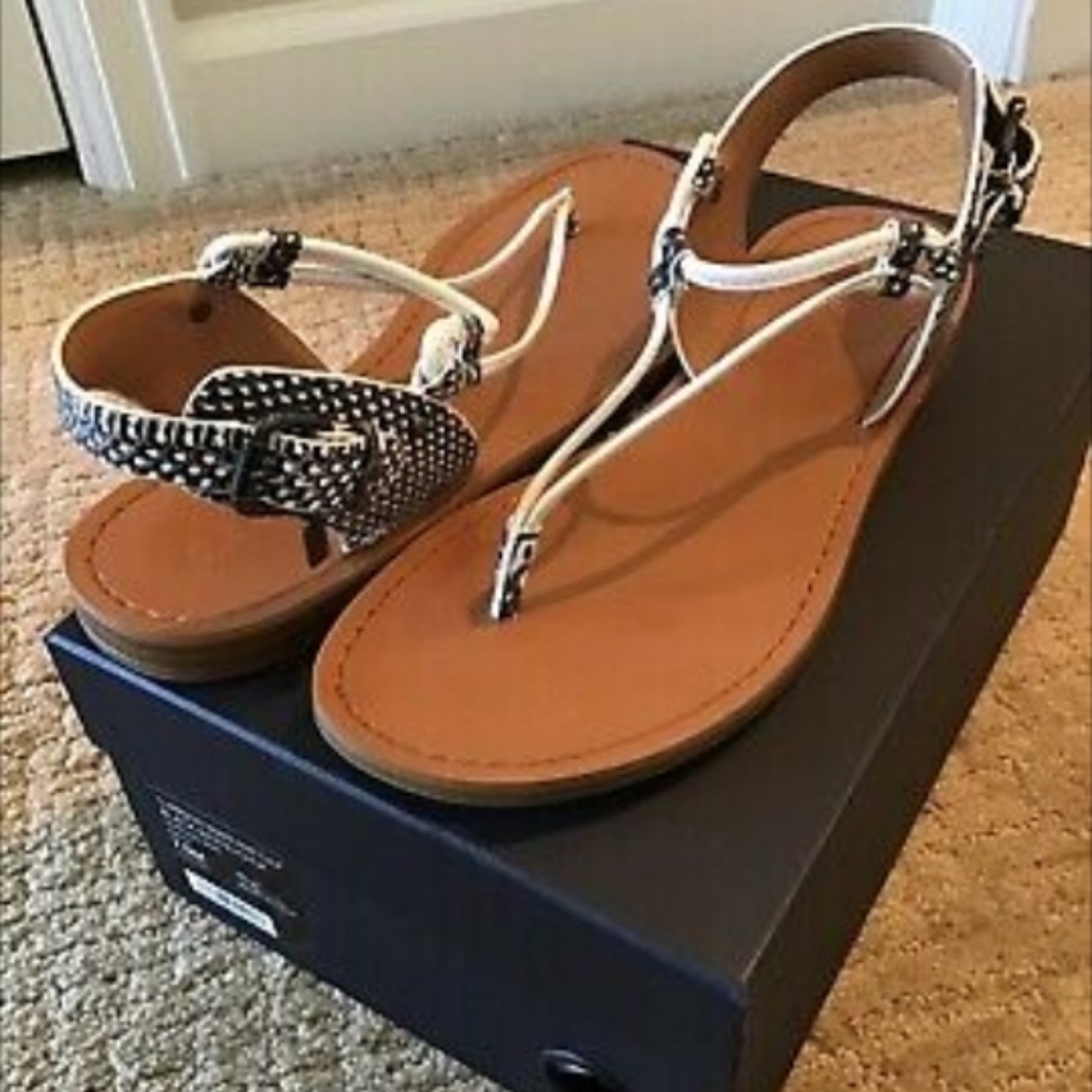 Coach Clarkson Snakeskin Gladiator Sandal